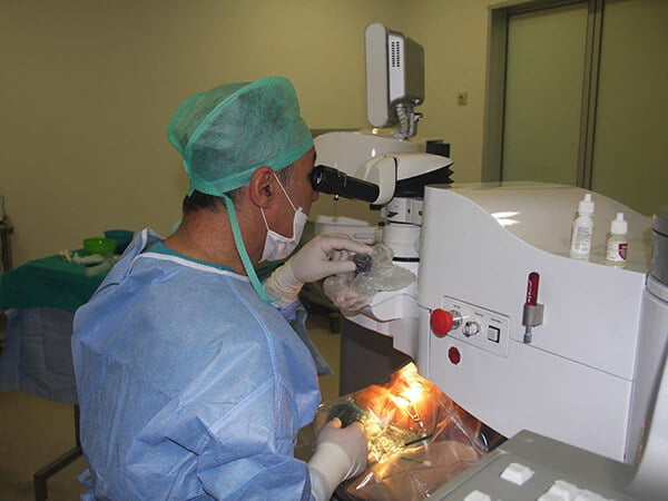 Laser Occhi in Turchia